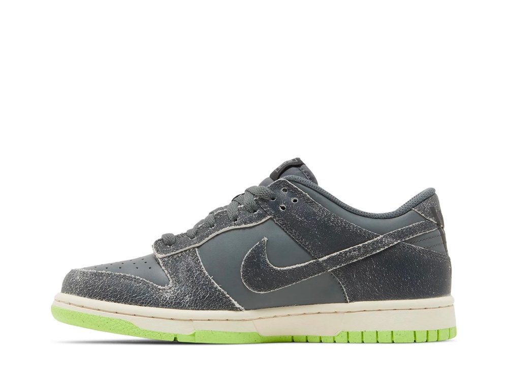 Nike Dunk Low Swoosh Shadow Iron Grey (GS)