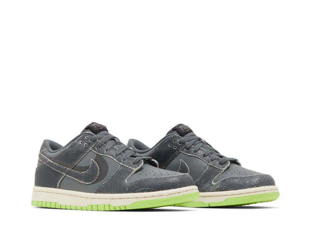 Nike Dunk Low Swoosh Shadow Iron Grey (GS)