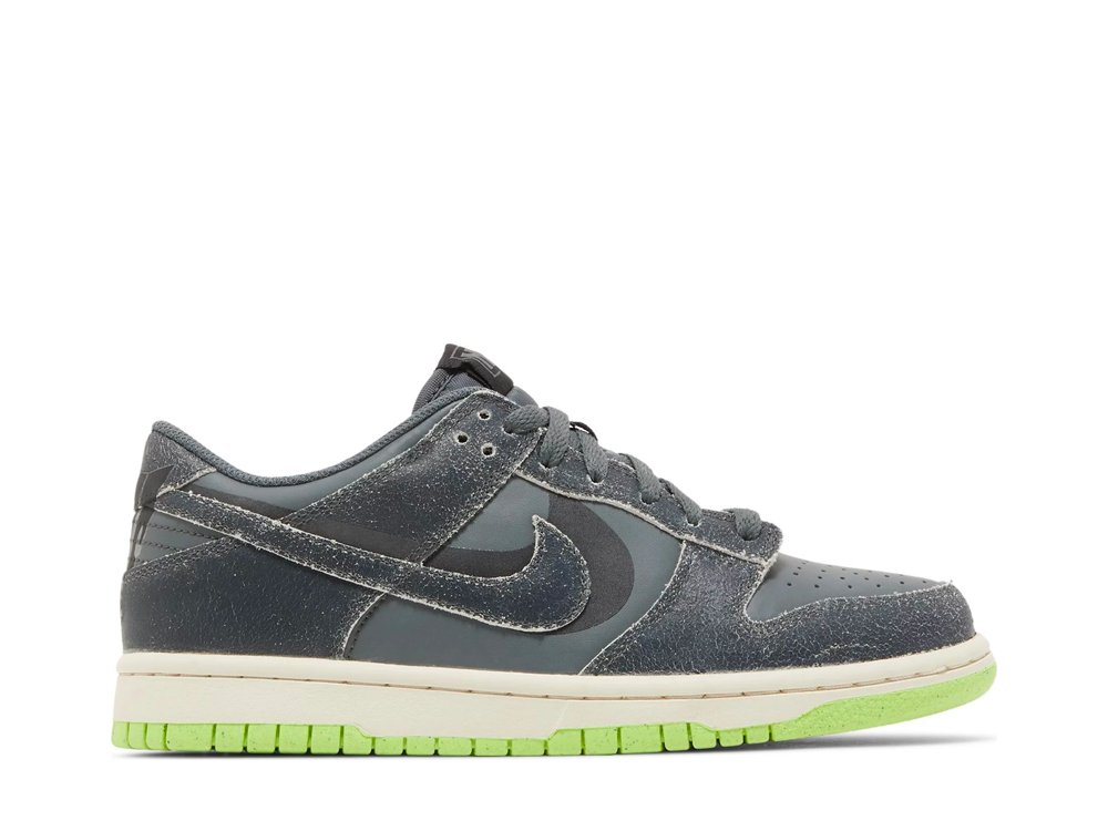 Nike Dunk Low Swoosh Shadow Iron Grey (GS)